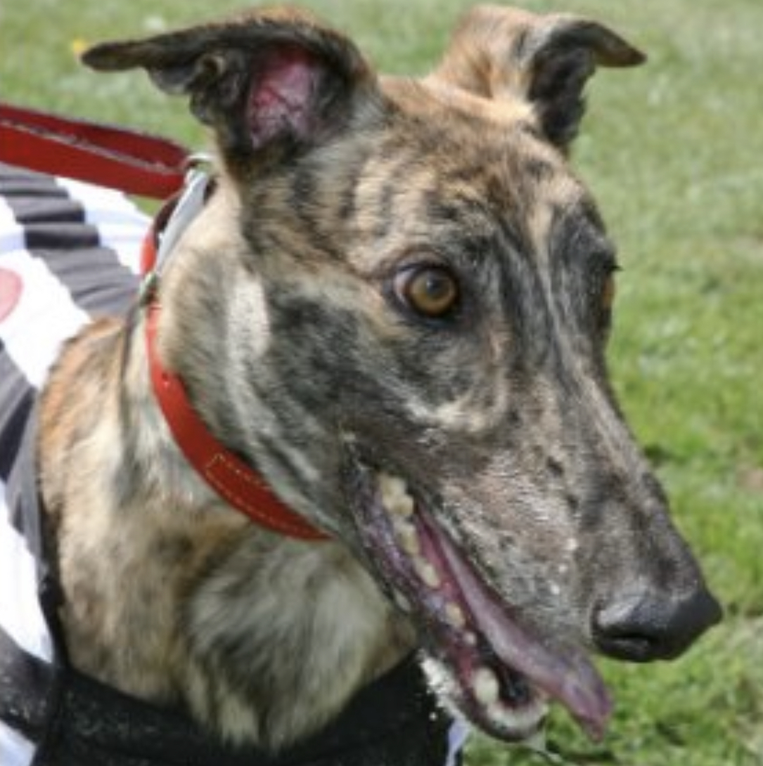 Ladbrokes Grand National at Crayford could be on the move for 2024